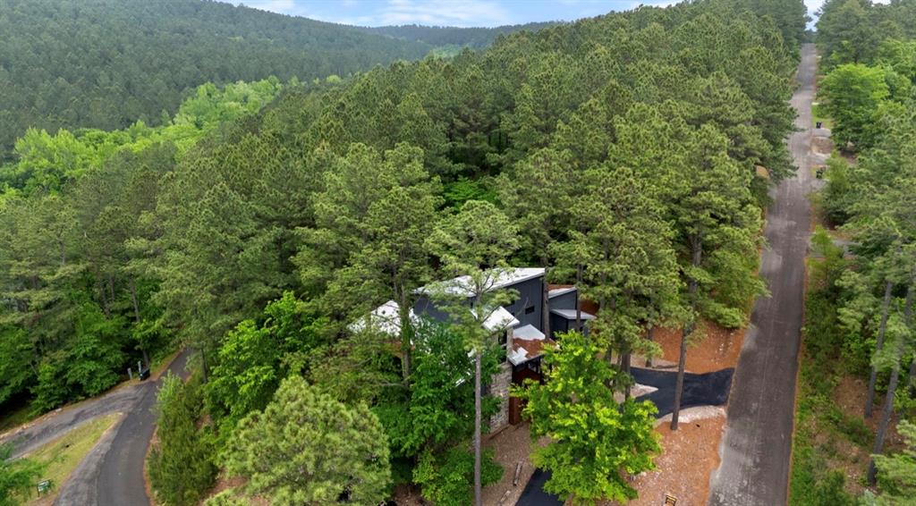 245 Gnarly Maple Trail Property Photo 49