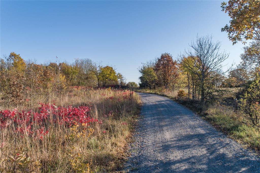 232 Hillbilly Road Property Photo 13