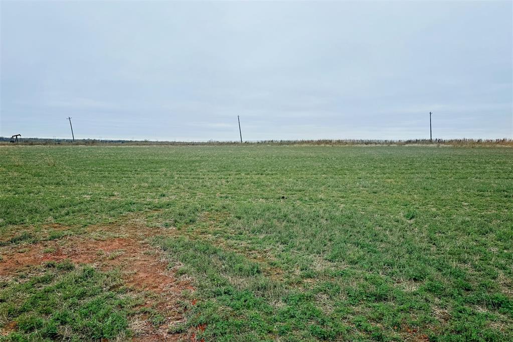 8068 Orchid Way Property Photo 24