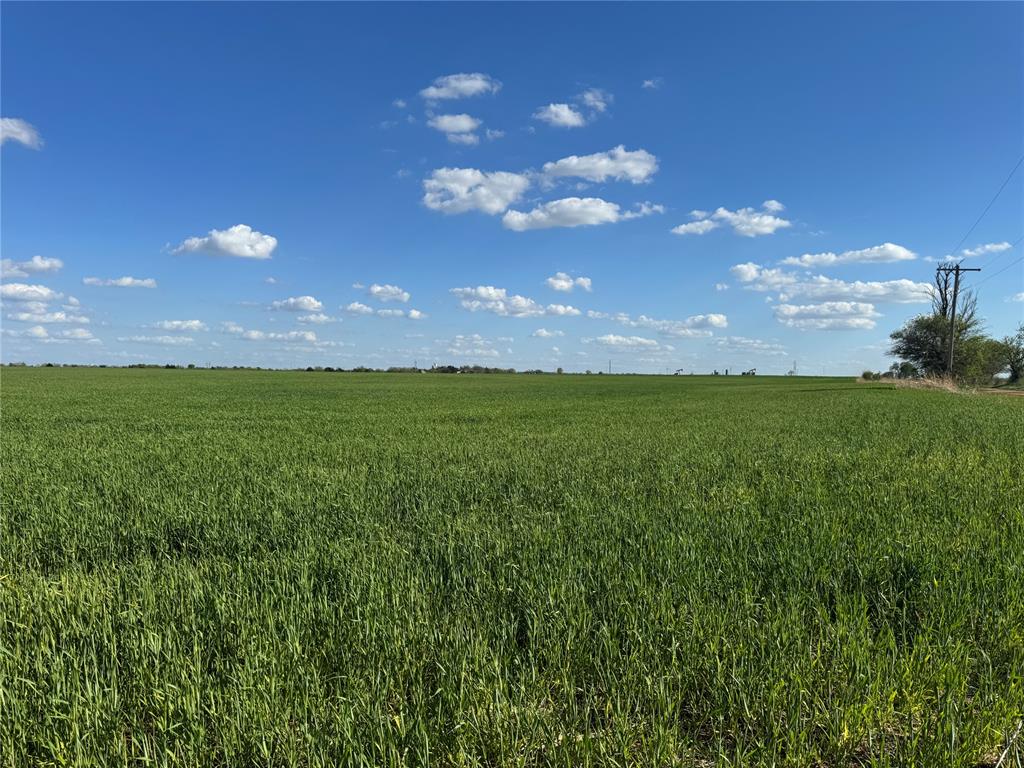 E Carrier Road Property Photo 12