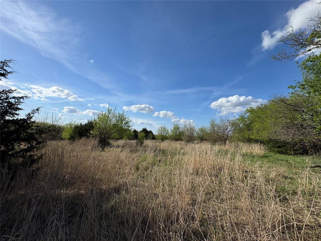 E Carrier Road Property Photo 20