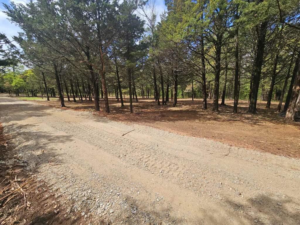 N Tract 2 Lakeview Drive Property Photo 1
