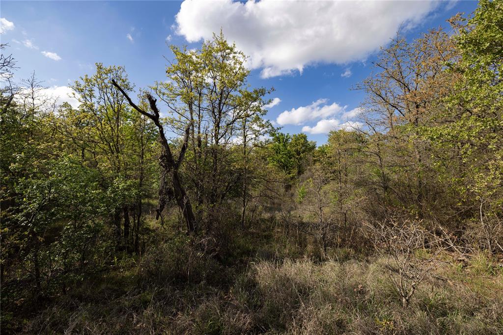 7 E Terry Road Property Photo 15