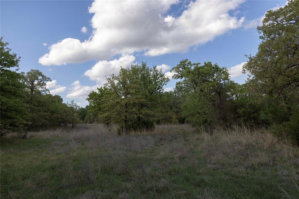 7 E Terry Road Property Photo 17