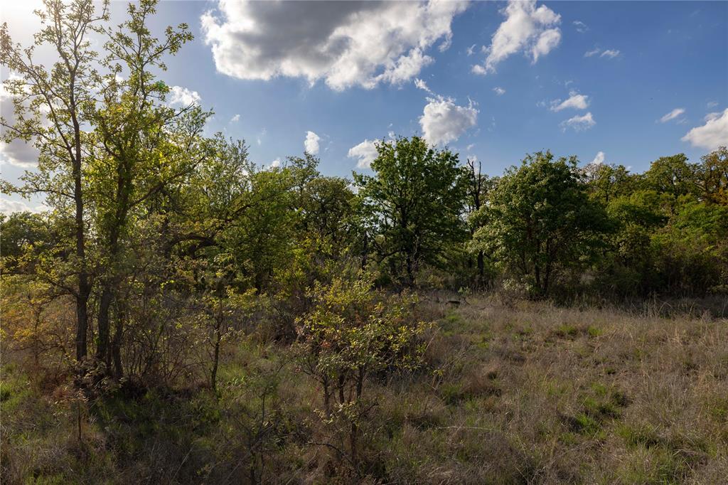 7 E Terry Road Property Photo 24
