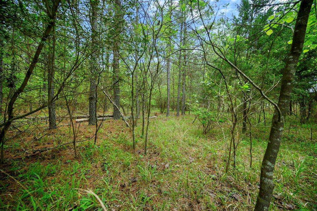 561 Track 1 Camp Ranch Road Property Photo 5
