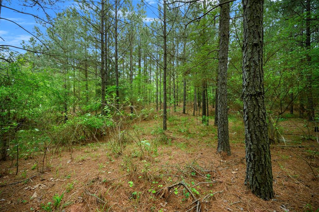 561 Track 1 Camp Ranch Road Property Photo 7