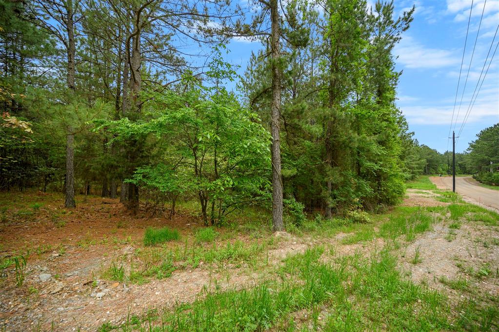 561 Track 1 Camp Ranch Road Property Photo 8