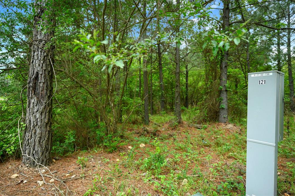 561 Track 1 Camp Ranch Road Property Photo 16