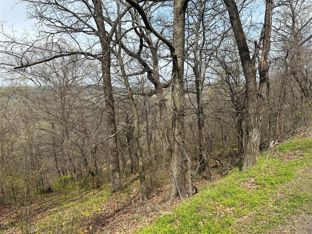 000 W Big Rock Road Lot #7 Property Photo 1