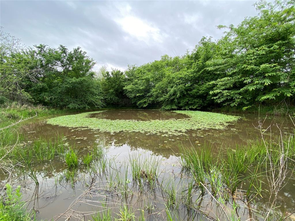D390 Road Property Photo 21