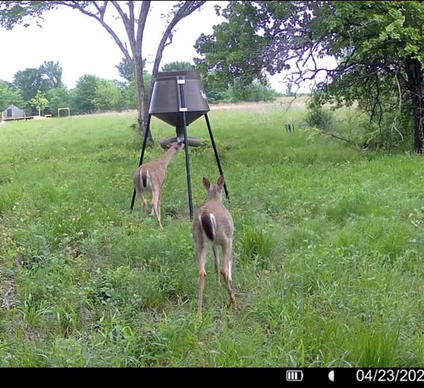 D390 Road Property Photo 22