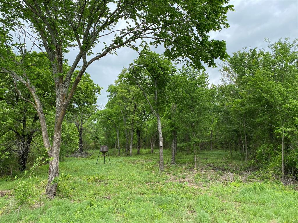 D390 Road Property Photo 27
