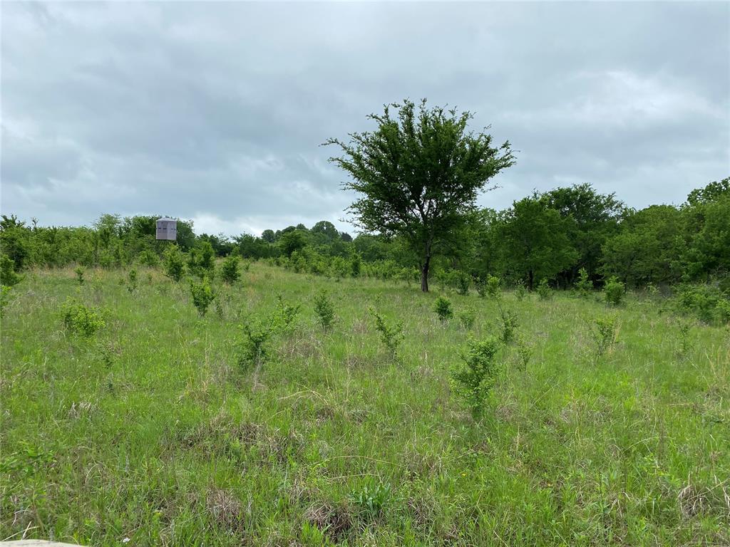 D390 Road Property Photo 31