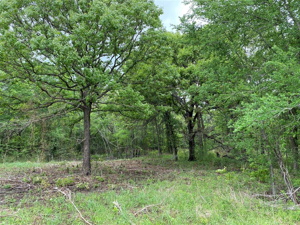 D390 Road Property Photo 37