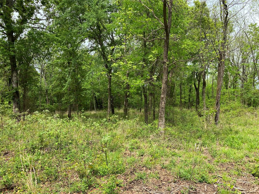 D390 Road Property Photo 38