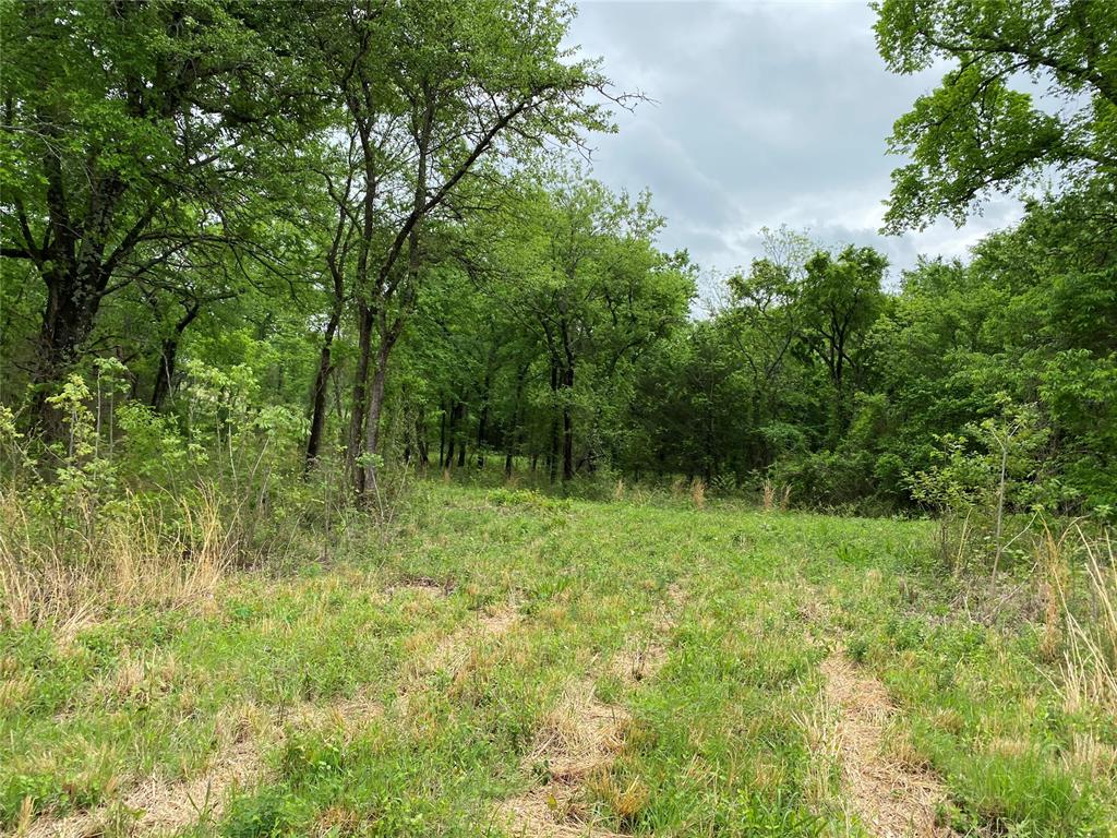 D390 Road Property Photo 39