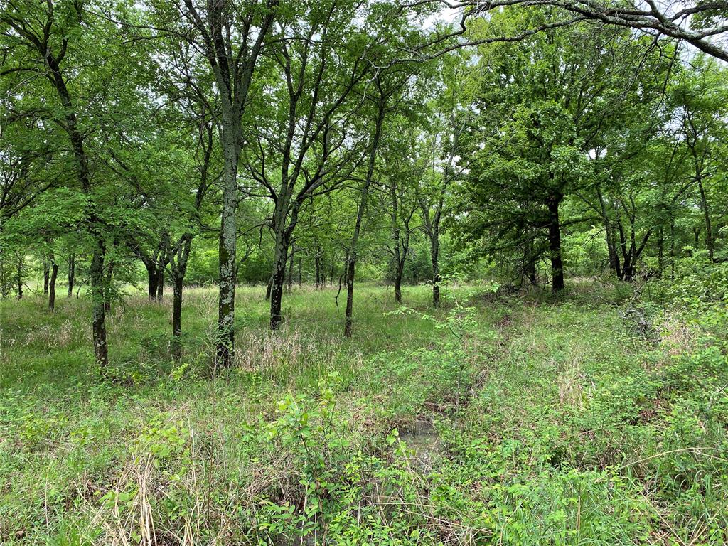 D390 Road Property Photo 46
