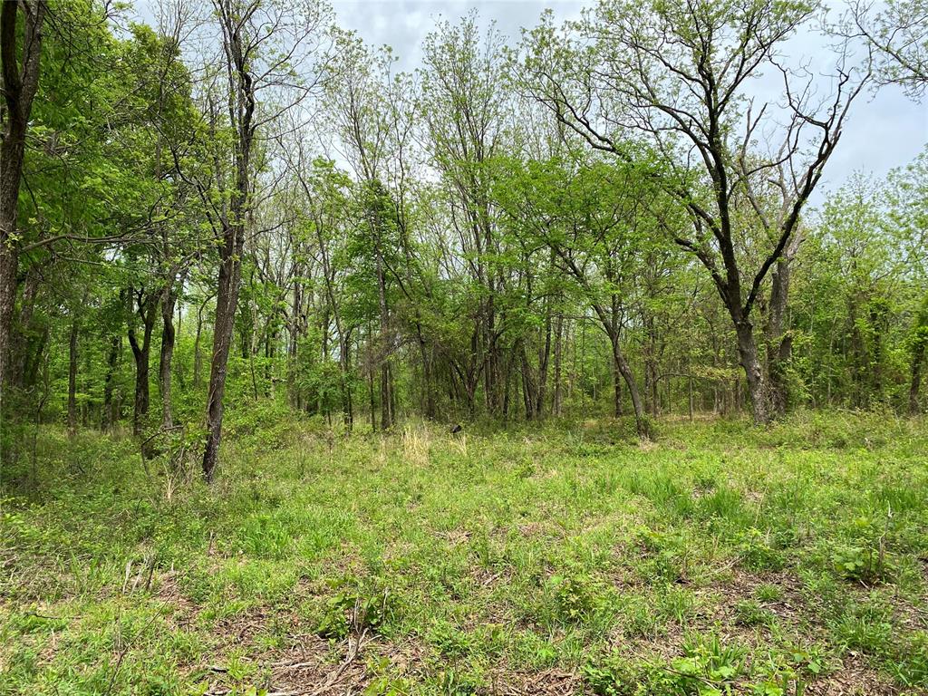 D390 Road Property Photo 47