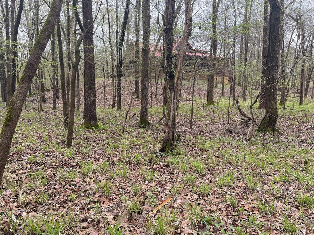 177 Albacore Road Road Property Photo 3