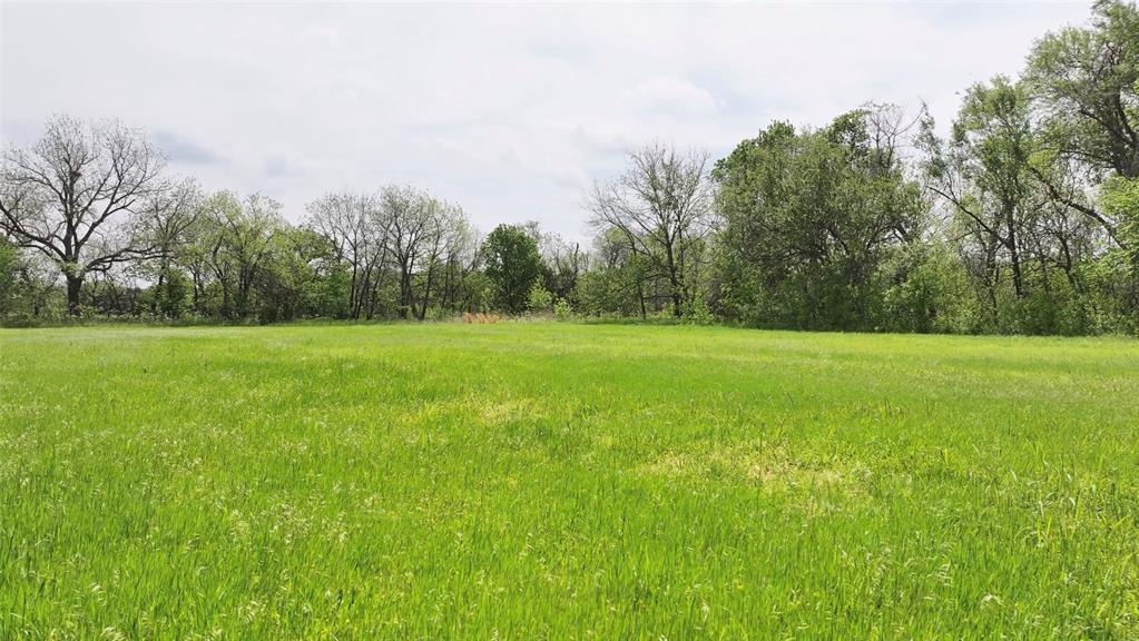 2 Wild Horse Creek Property Photo 3
