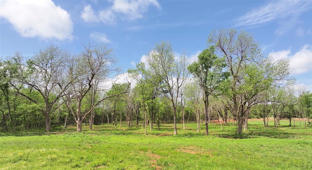 2 Wild Horse Creek Property Photo 4