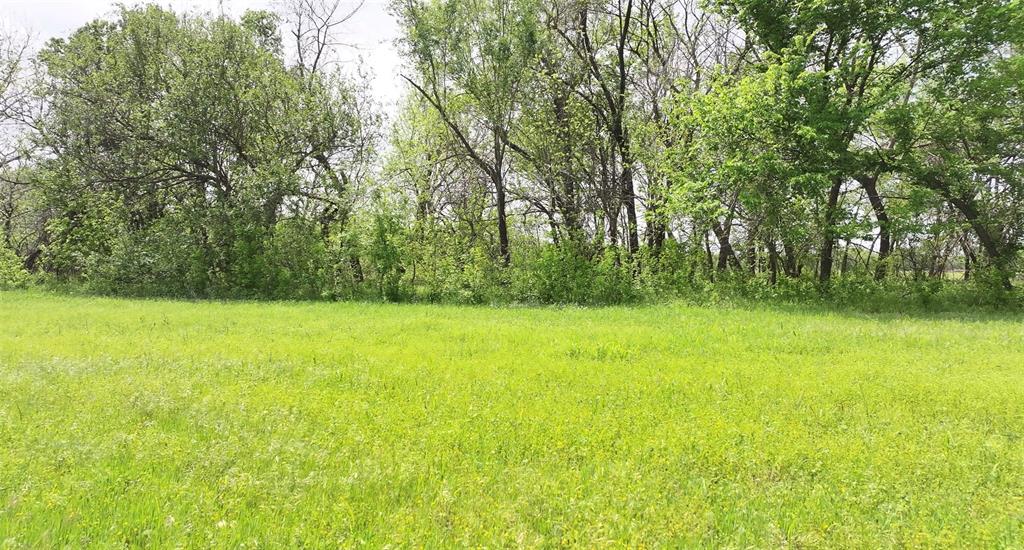 2 Wild Horse Creek Property Photo 5