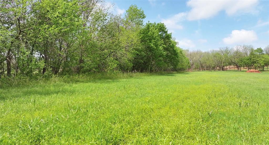 2 Wild Horse Creek Property Photo 6
