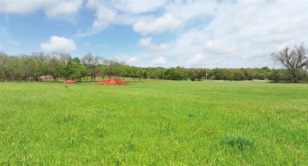 2 Wild Horse Creek Property Photo 7