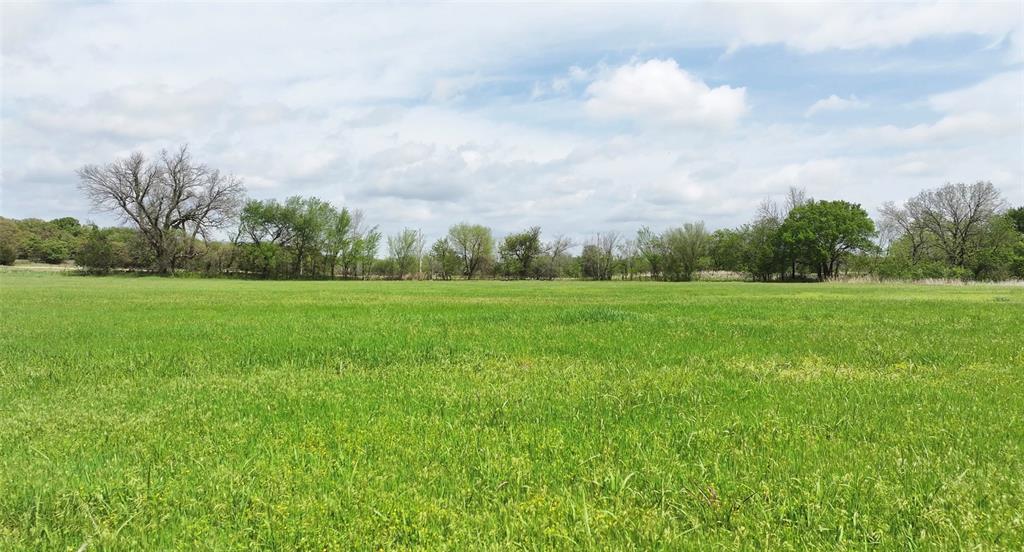 2 Wild Horse Creek Property Photo 8