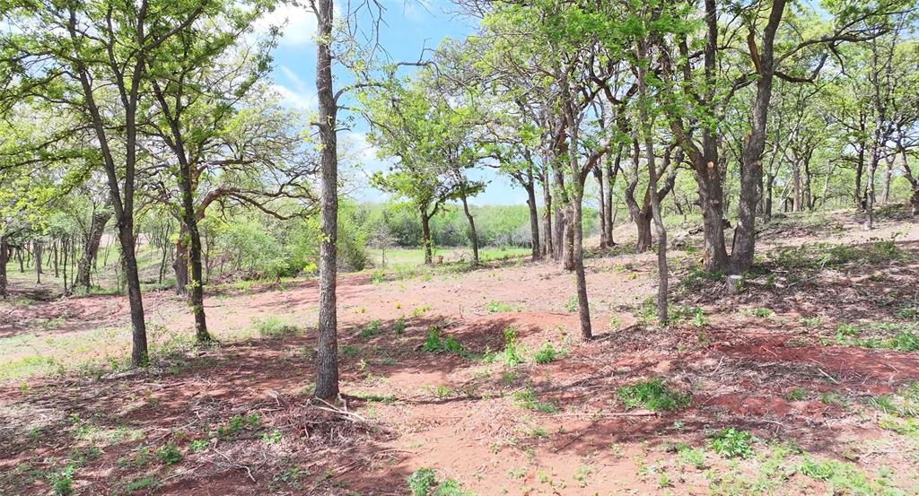 4 Wild Horse Creek Property Photo 5
