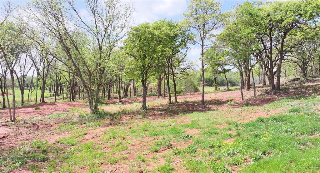 4 Wild Horse Creek Property Photo 6