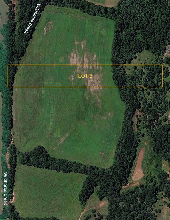 8 Wild Horse Creek Property Photo 6