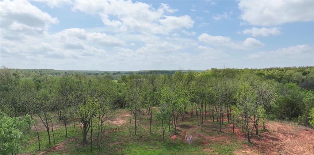 9 Wild Horse Creek Property Photo 2