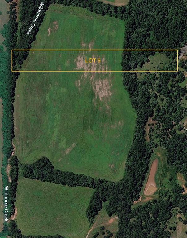 9 Wild Horse Creek Property Photo 11
