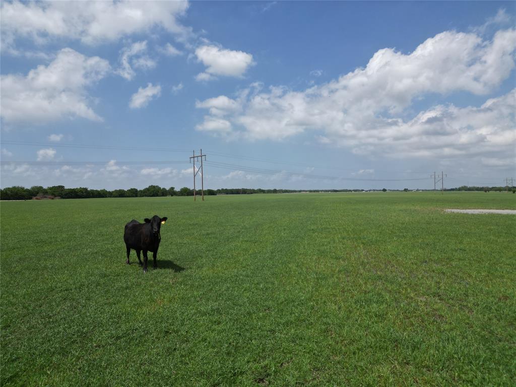 1225412 Property Photo 2