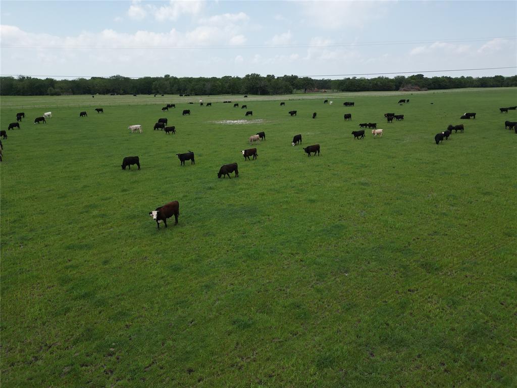 1225412 Property Photo 4