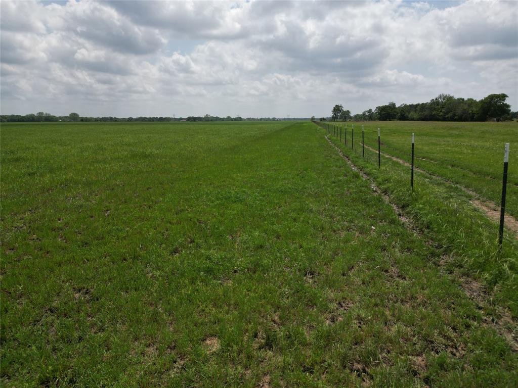 1225412 Property Photo 22