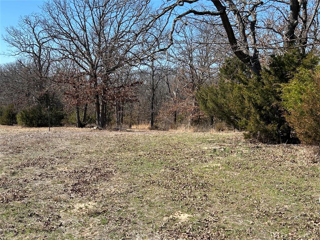 31038 Hamilton Road 2 Property Photo 10