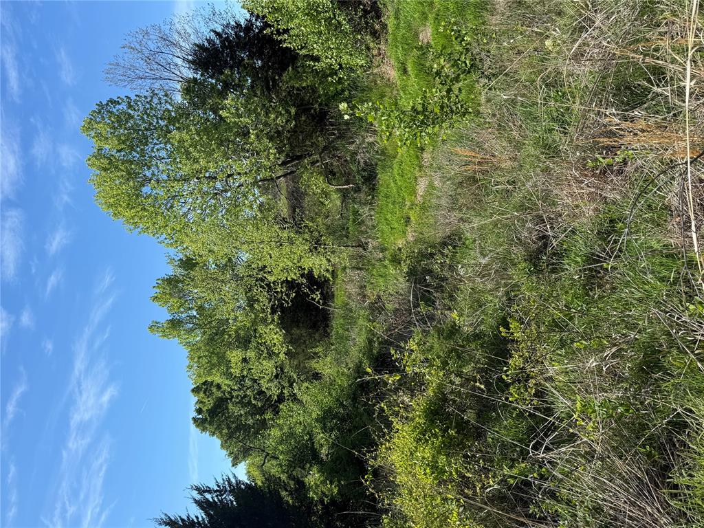 51901 S 34900 Road Property Photo 30