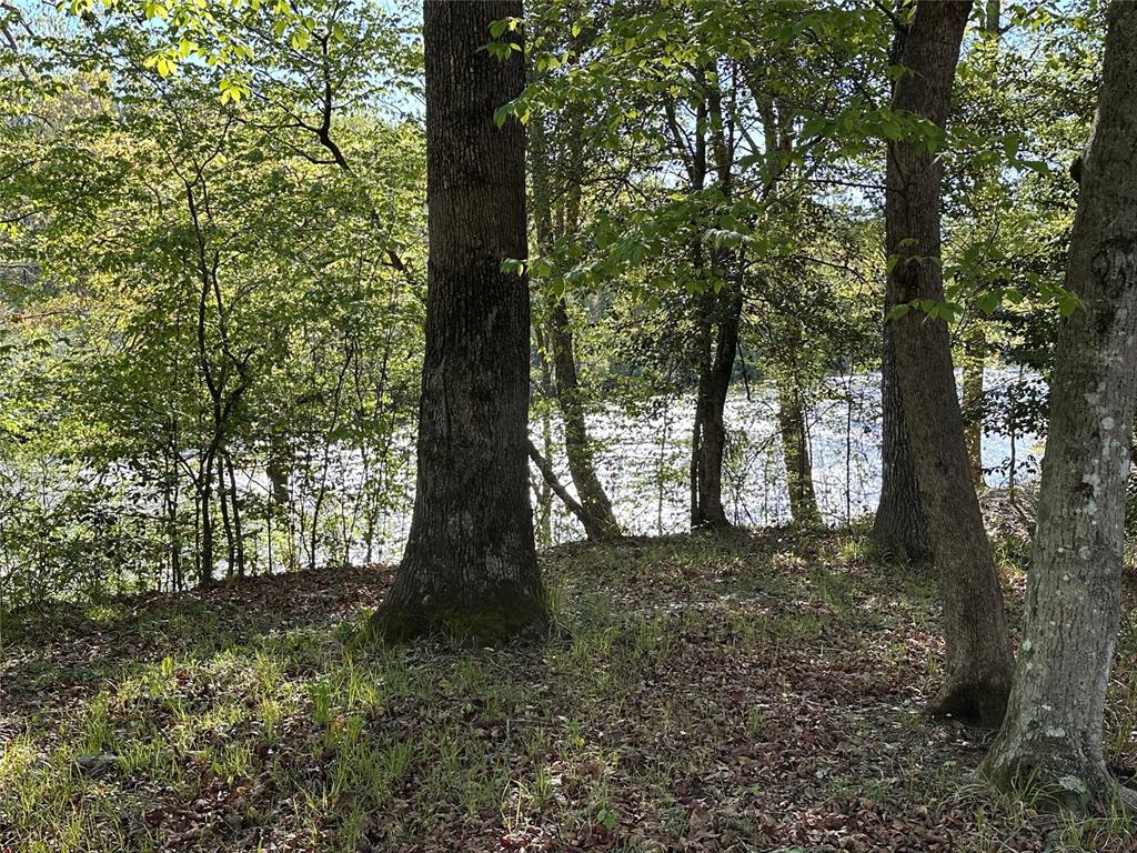 Tbd Riverside Lane Property Photo 1