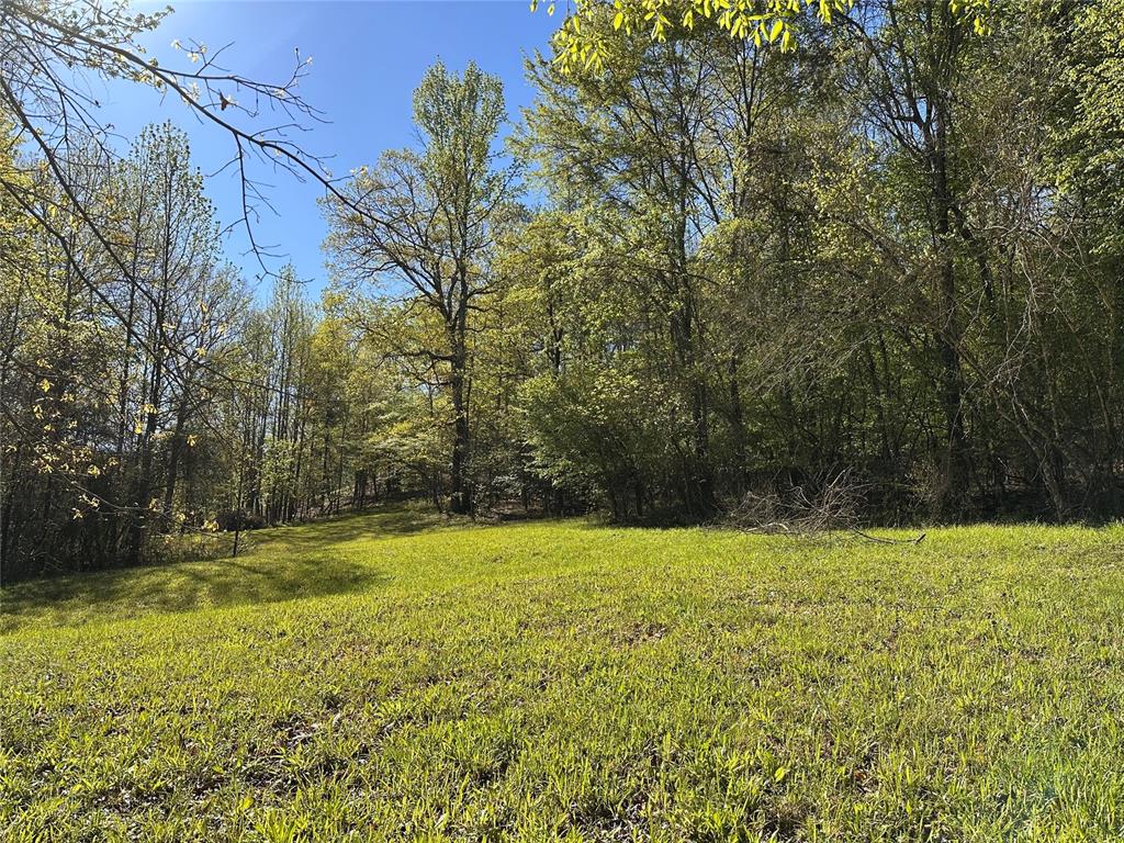 Tbd Riverside Lane Property Photo 3