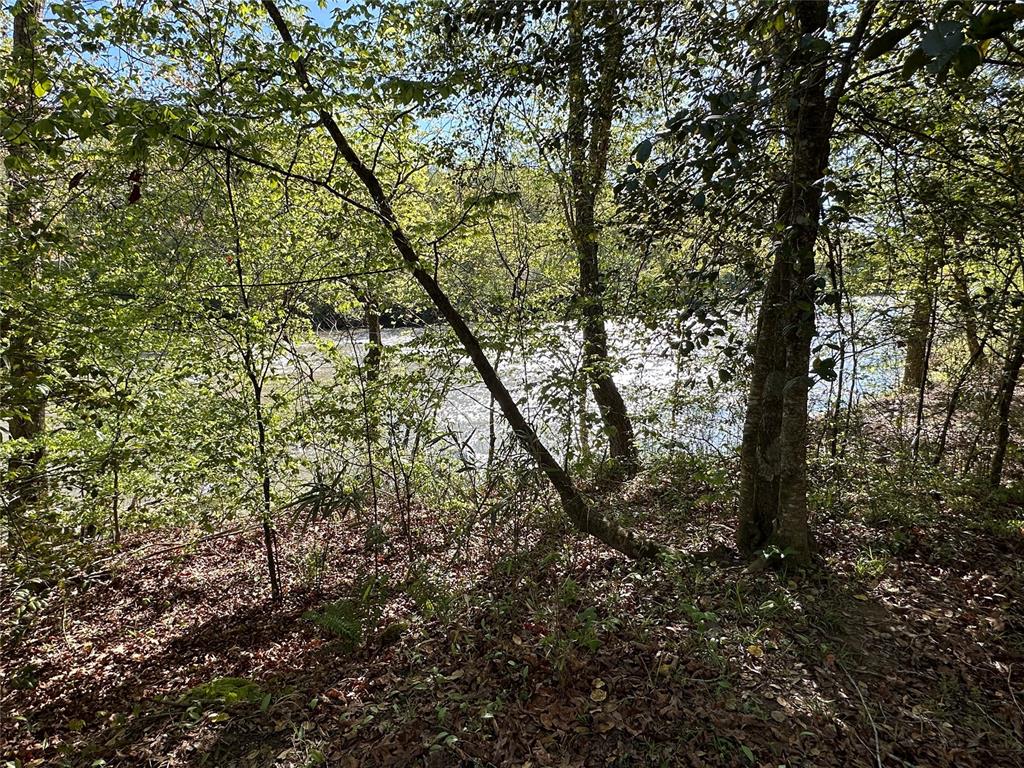 Tbd Riverside Lane Property Photo 4