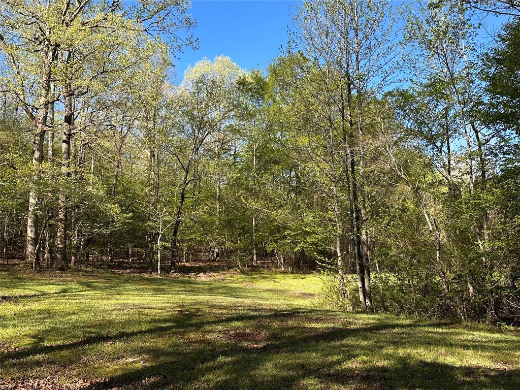Tbd Riverside Lane Property Photo 6