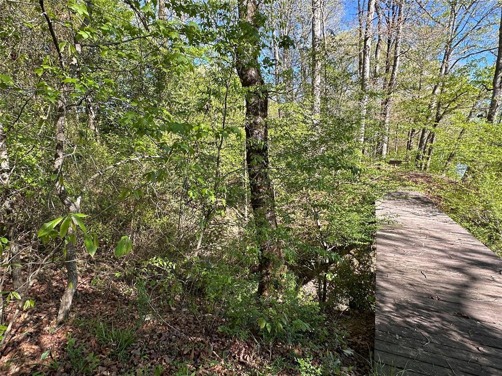 Tbd Riverside Lane Property Photo 12