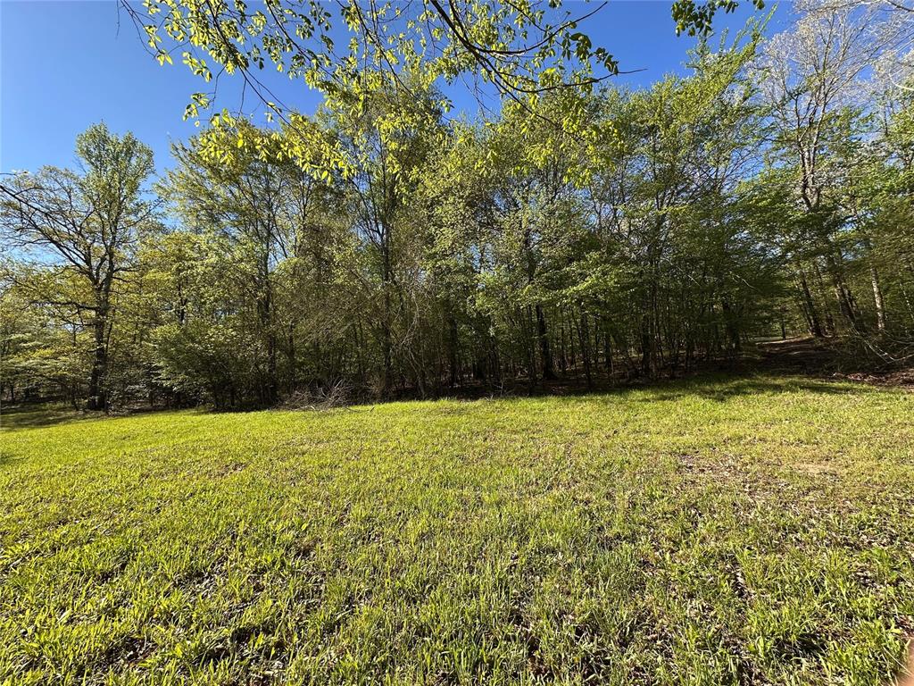 Tbd Riverside Lane Property Photo 14