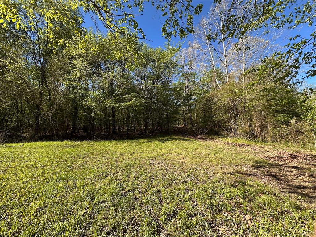 Tbd Riverside Lane Property Photo 15