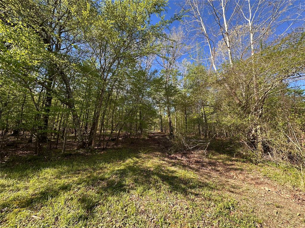 Tbd Riverside Lane Property Photo 17