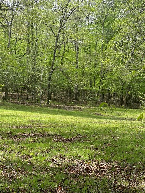 Tbd Riverside Lane Property Photo 18