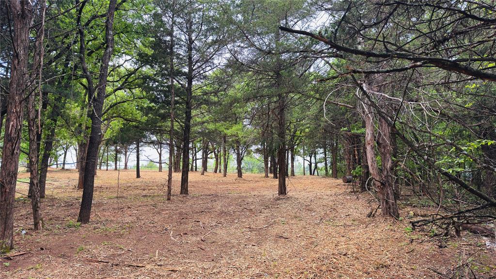 5928 Crest Drive Property Photo 11